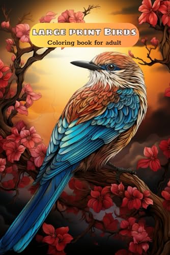 Large Print Birds Coloring Book Fun: Relaxation And Stress Reliving von Independently published